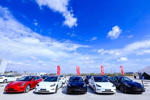 特斯拉上海超級工廠開啟Model 3整車出口新篇章，引領全球新能源汽車產業格局重塑